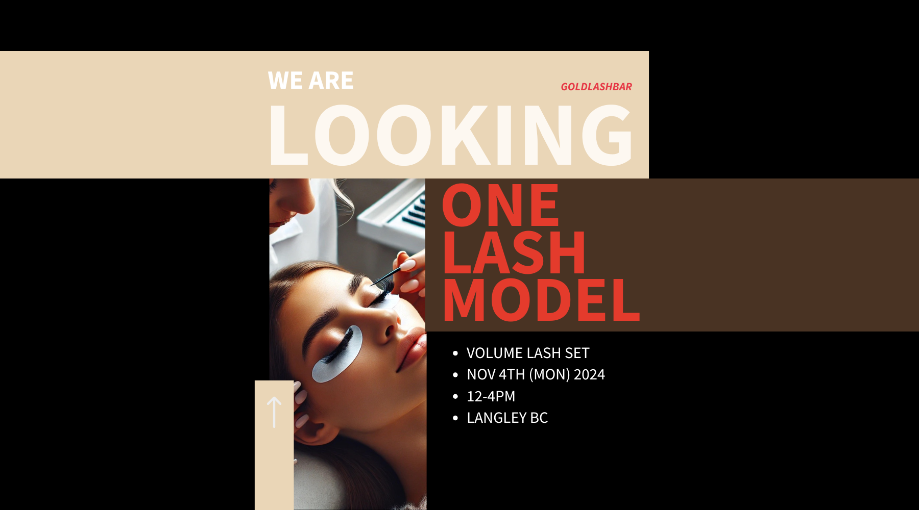 Looking for One Lash Model: Light Russian Volume Set – Goldlashbar
