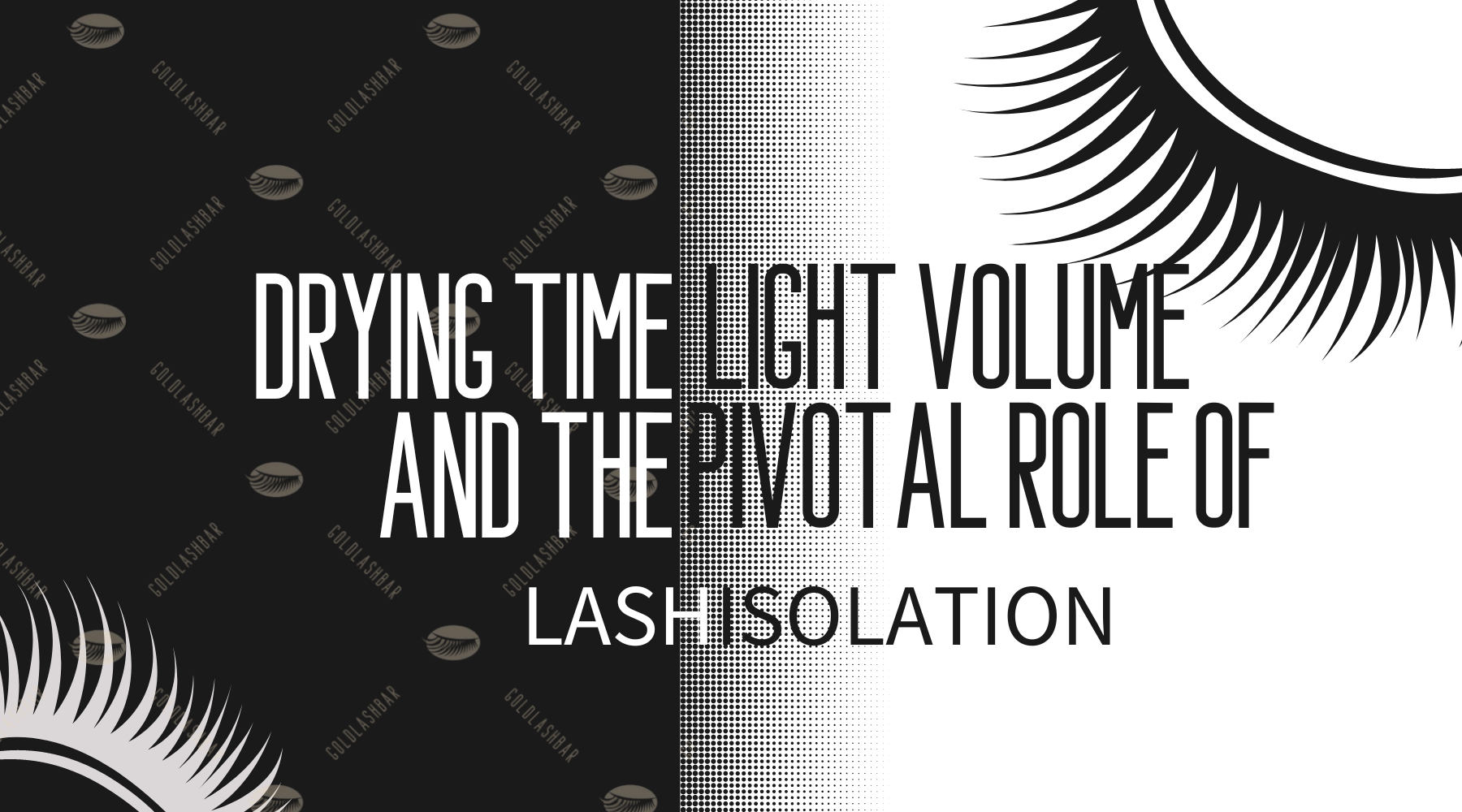 Drying Time, Light Volume, and the Pivotal Role of Lash Isolation ...