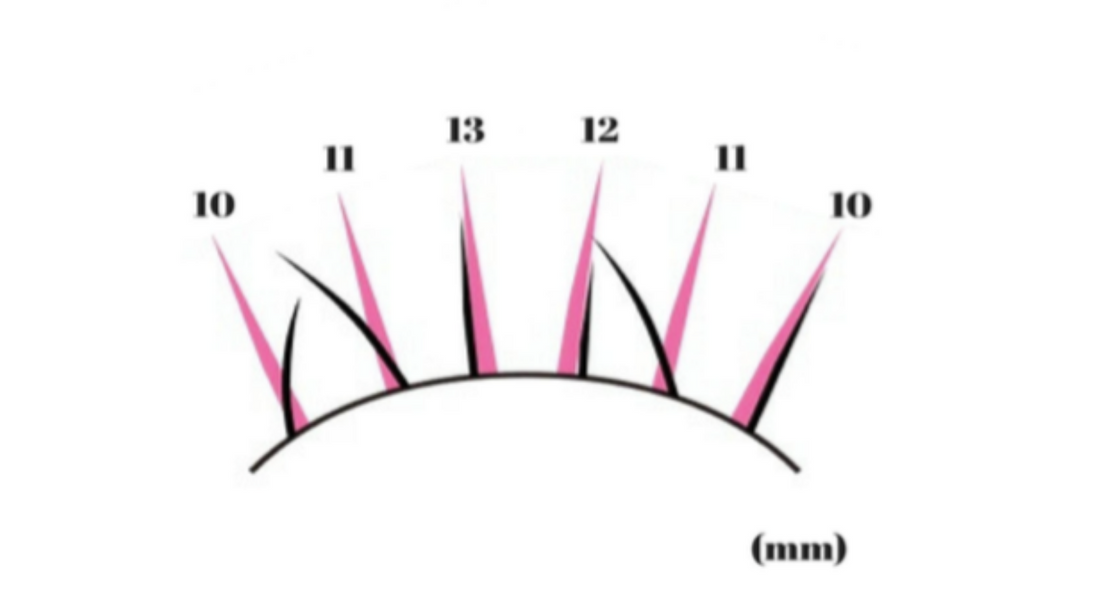 diagram of proper lash placement / lash alignment