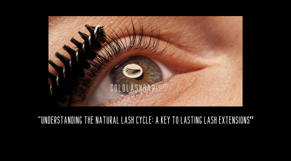 Understanding the Natural Lash Cycle: A Key to Lasting Lash Extensions